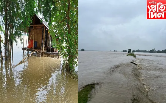 ধেমাজিত বানৰ সংহাৰী ৰূপ, কেইবাটাও পৰিয়াল বানৰ কবলত…