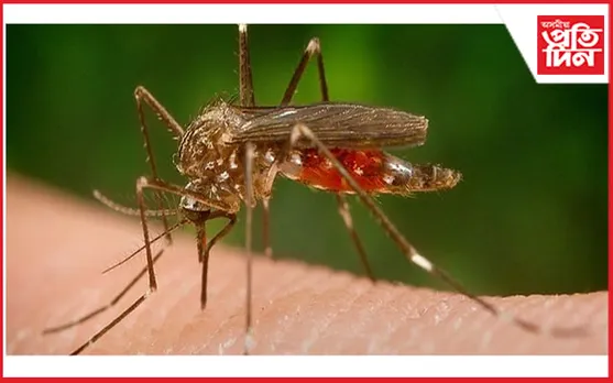 দৰঙত জাপানিজ এনকেফেলাইটিজে লৈছে ভয়ংকৰ ৰূপ, ৭জনৰ মৃত্যু…