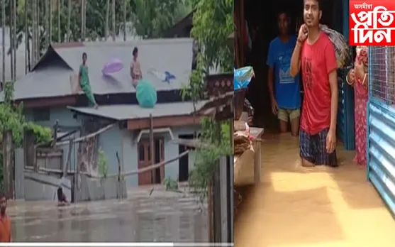 লামডিঙত বানৰ তাণ্ডৱ;  ঘৰৰ ওপৰত আশ্ৰয় বন্যাৰ্তৰ…