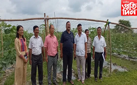 কোকৰাঝাৰৰ কৃষিক্ষেত্ৰ পৰিদৰ্শন বিটিআৰৰ কাৰ্যবাহী সদস্য ঘনশ্যাম দাসৰ