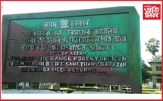 লাওখোৱা অভয়াৰণ্যত চোৰাং মাছমৰীয়াৰ দপদপনি! মাছমৰীয়াৰ আক্ৰমণত আহত ৩ বনকৰ্মী…