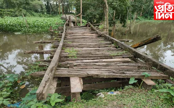 ভগা দলঙে জলা-কলা খুৱাইছে ৰাইজক, গুৰুত্ব নাই বিধায়কৰ…