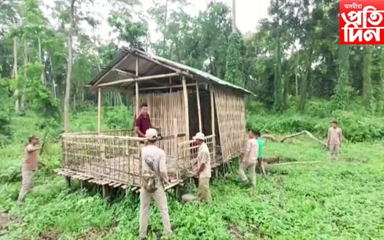 ডিফু – লামডিং পথৰ মাৰাট লংৰি সংৰক্ষিত বনাঞ্চলত বন বিভাগৰ উচ্ছেদ অভিযান…