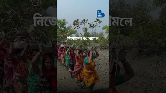 6 লক্ষ ম্যানগ্রোভ রোপন করেছেন সুন্দরবনের মা-বোনেরা | Sundarban | Mangrove Plantation