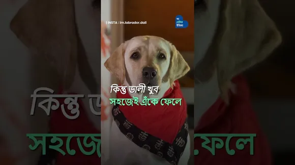 ভারতের প্রথম Water Colour Painter Rescued Dog Dali | Rescued Dog Painting | Dali The Dog Painter