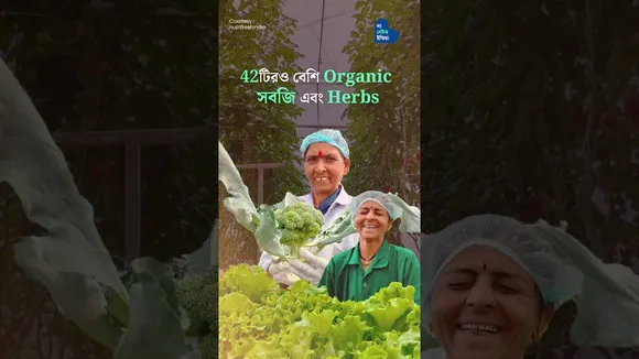 ব্যাংকিং ছেড়ে চাষ করেছেন 42টি হাইড্রোপনিক সবজি এবং আয় করছেন কোটি কোটি টাকা | Hydroponic Business