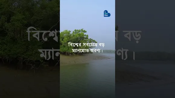 বাংলার ৫ টি চমৎকার অরণ্য | 5 Forest Near Kolkata | Weekend Travel