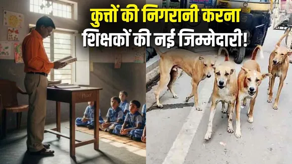 CG teacher duty Dog Monitoring