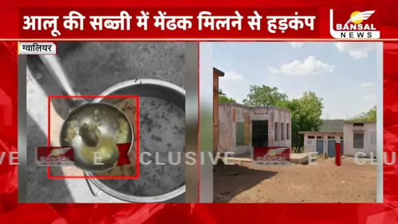 Gwalior Mid Day Meal Frog Viral Vedio News