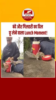 Instagram_post_thumb_ GIILHARI