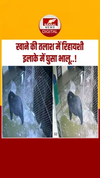 Instagram_post_thumb_ bhalu