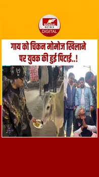 Instagram_post_thumb_ COW MOMOS