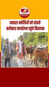 Instagram_post_thumb_ Babu JANDEL