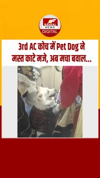 Instagram_post_thumb_ KUTTA