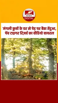 Instagram_post_thumb_ NEW-Recovered-Recovered-Recovered