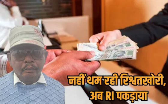 Rewa Revenue Inspector arrested while taking bribe Lokayukt Action hindi news zvj