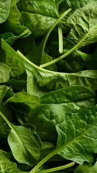 Health Benefits Of Spinach