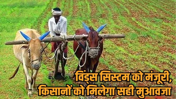 mp cabinet meeting decisions winds system weather station automatic rain gauge pm fasal bima yojana hindi news zvj