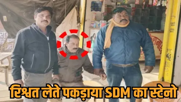 sidhi lokayukta action churhat sdm steno arrested bribery case corruption hindi news zvj