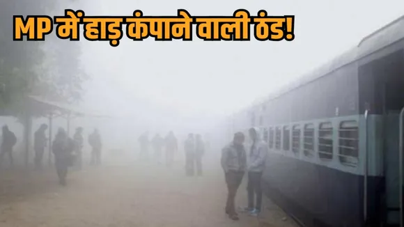 mp weather update rewa coldest city bhopal temp fog trains delayed hindi news zvj