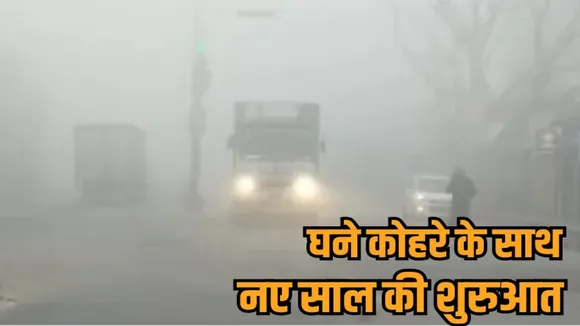 mp weather forecast new year 2026 cold wave fog alert bhopal gwalior rewa hindi news zvj