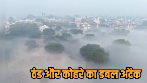 mp weather news dense fog trains delayed cold wave alert visibility low hindi news zvj