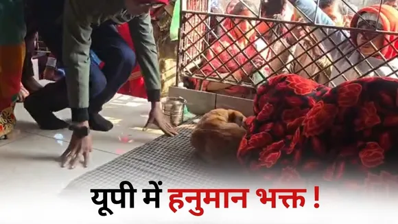 UP Dog Hanuman Parikrama reason fact Bijnor hindi news