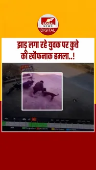 Instagram_post_thumb_ Sehore