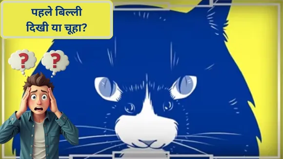 optical illusion quiz