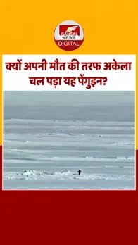 19 dec-Recovered-Recovered-Recovered-Recovered-Recovered