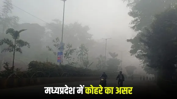 MP Weather Update January 29 2026