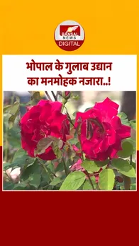 19 dec-Recovered-Recovered-Recovered-Recovered-Recovered-Recovered