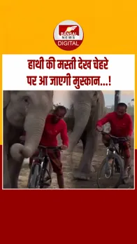 Instagram_post_thumb_ Hathi