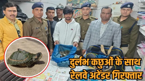 bhopal railway station tortoise smuggling arrest rpf stf wildlife crime hindi news zvj