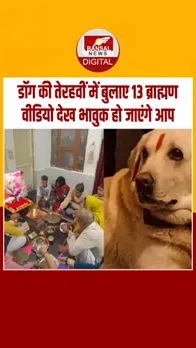 Instagram_post_thumb_ Dogesh Bhai