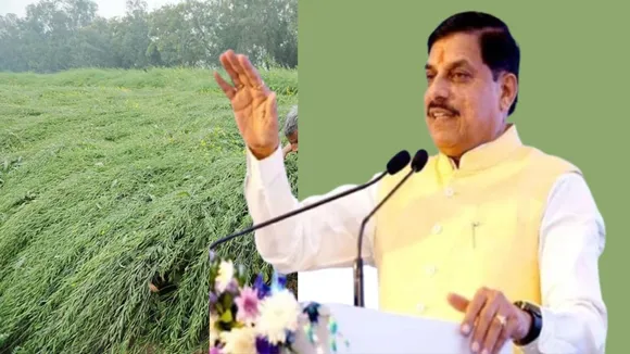 MP Kisan Bhavantar Yojana Update