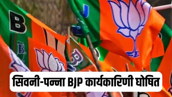 BJP Seoni Panna Districts Executive