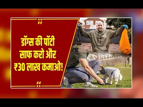 कुत्ते की पॉटी उठाने की नौकरी और कमाई 30 लाख से ज्यादा, ये जॉब करना चाहेंगे आप?