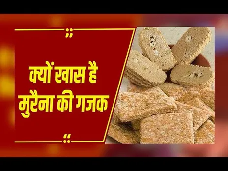 MORENA: गुलाबी ठंड के संग लौटी मुरैना गजक की महक, चंबल की GI टैग मिठाई का मीठा जादू फिर छाया