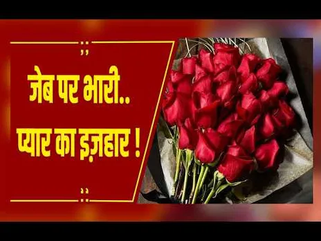 रोज़ डे पर महंगाई की मार, गुलाब के दाम 100 से 1500 रुपये तक पहुंचे, प्यार हुआ महंगा