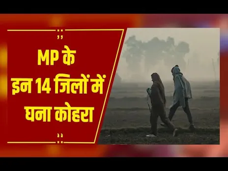MP Weather : MP के 14 जिलों में घना कोहरा, पचमढ़ी सबसे ठंडा, भोपाल-इंदौर में पारा गिरा