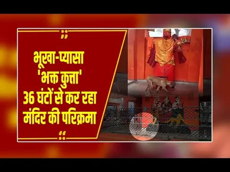 डॉग ने पहले 36 घंटे तक हनुमान जी की मूर्ति के चक्कर लगाए , अब मां दुर्गा की मूर्ति के काट रहा चक्कर