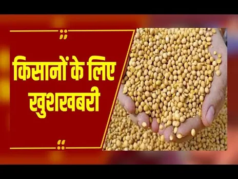 Bhavantar Yojana: CM मोहन यादव ने 3.77 लाख किसानों के खातों में ट्रांसफर की 810 करोड़ रुपये की राशि