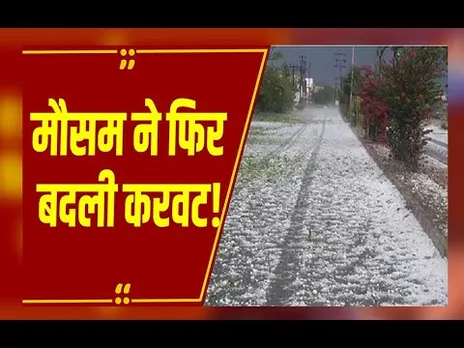 MP में मौसम ने फिर बदली करवट! उज्जैन में बारिश तो नीमच में बारिश के साथ गिरे ओले