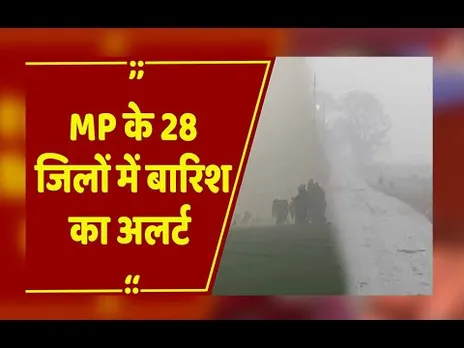 MP के 28 जिलों में बारिश का अलर्ट, 8 जिलों में गिरे ओले,बेमौसम बारिश से कई फसलें बर्बाद
