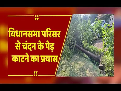 Bhopal: विधानसभा से शीतकालीन सत्र के दौरान चंदन के पेड़ की चोरी,अज्ञात चोरों ने वारदात को दिया अंजाम