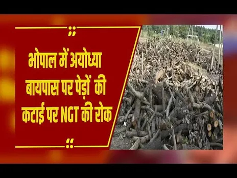Bhopal News: भोपाल के अयोध्या बायपास पर पेड़ कटाई पर NGT सख्त, 8 जनवरी तक लगाई रोक