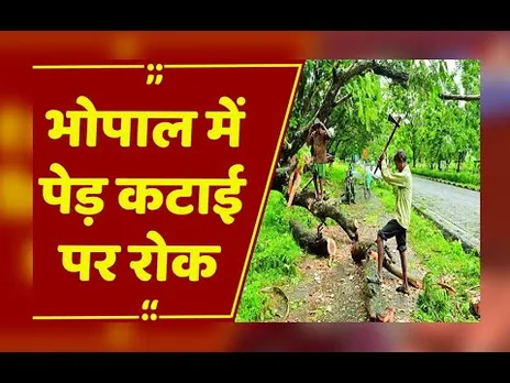Bhopal : हरियाली के हक में हाई कोर्ट ने अपनाया सख्त रवैया, बिना अनुमति कोई पेड़ नहीं कटेगा