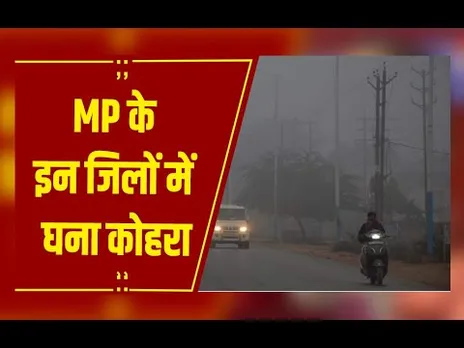 MP Weather : MP के 20 जिलों में घना कोहरा, विजिबिलिटी 50 मीटर से कम