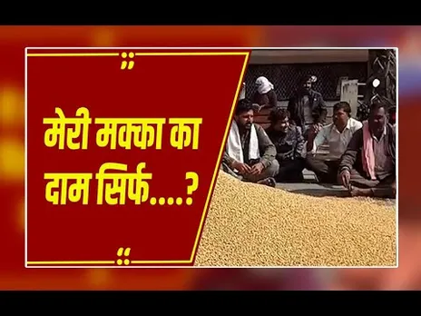 हरदा कृषि उपज मंडी में हंगामा, मक्का का कम भाव मिलने से ट्रॉली उलटकर धरने पर बैठे किसान